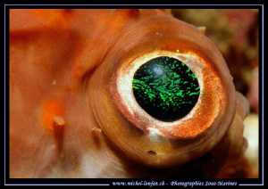 The Eye... :O)... by Michel Lonfat 